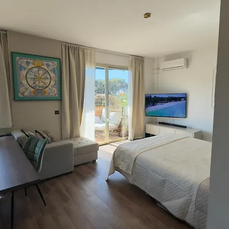 Cap Martin Luxury - Parking - Terrasse - Piscine - Bouteille De Prosecco 罗克布吕讷-卡普马丹